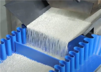 Vacuum packing machine