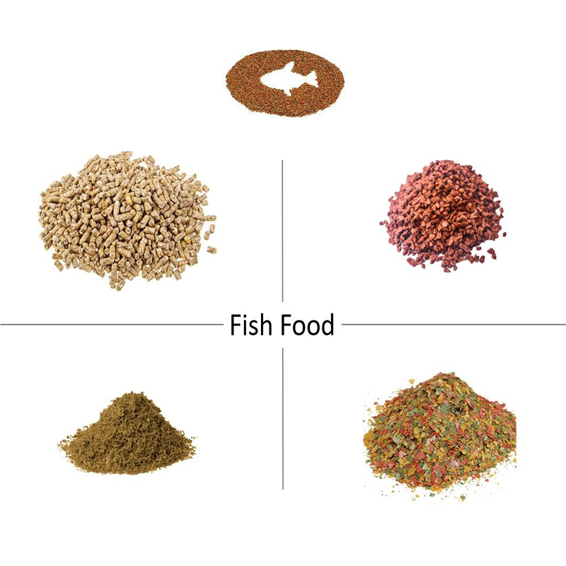 Food Packing Machine Manufacturer
